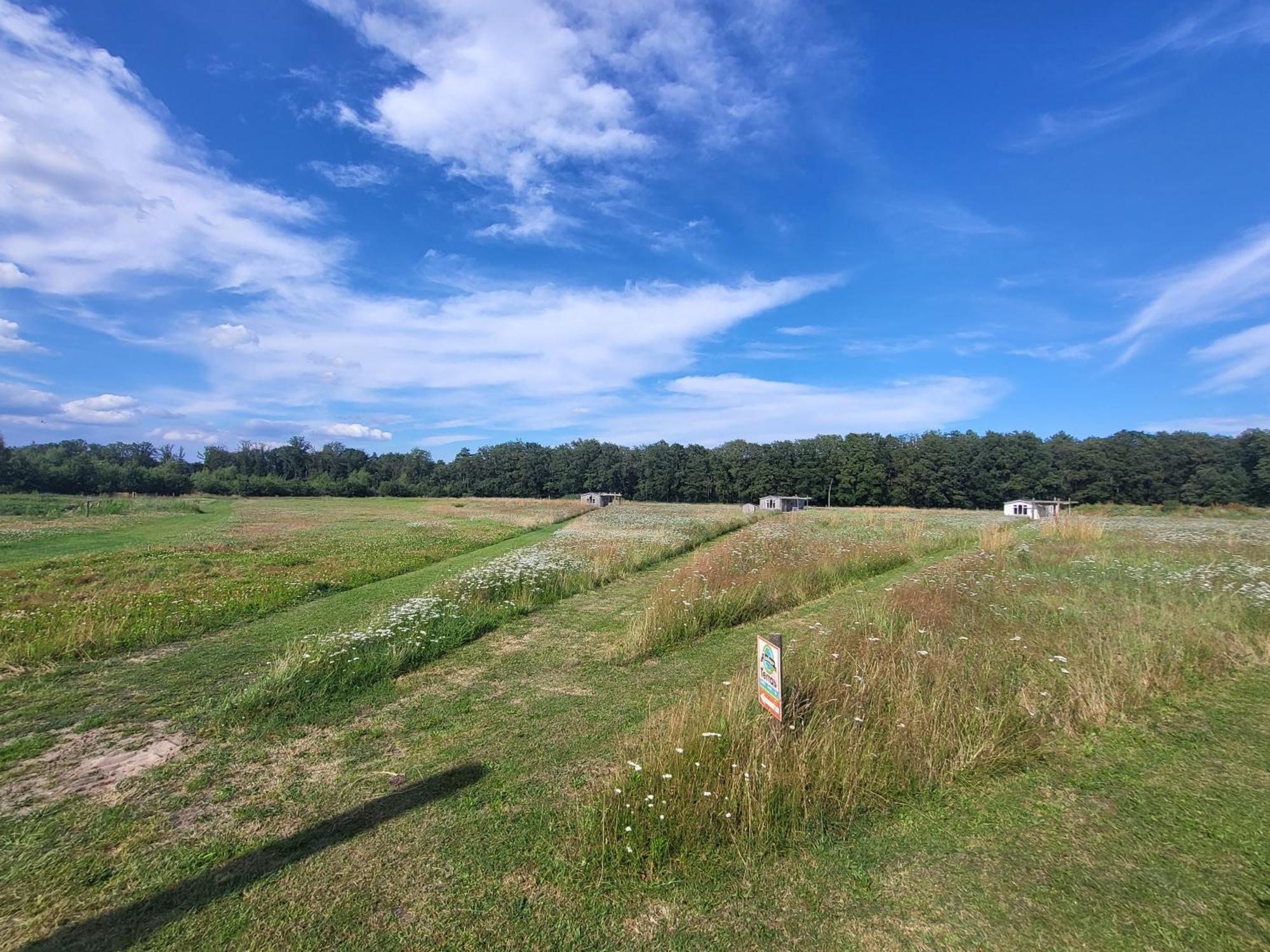 Вилла Hoeve Twente - De Bonte Specht Хейтуйсен Экстерьер фото